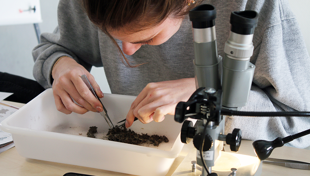 Soirée décorticage de pelotes !